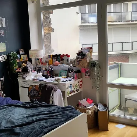 Spacious With 3 Balconies Appartement Paris